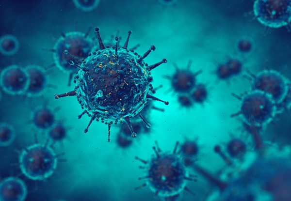 Những điều cần biết về cúm B: Chủng cúm mùa phổ biến  đang có diễn biến phức tạp.