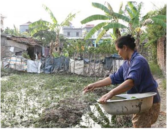 Vì thiên chức, phụ nữ dễ mắc lao 