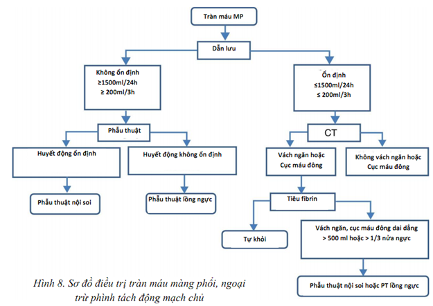 3. Phác Đồ Điều Trị Ngoại Khoa